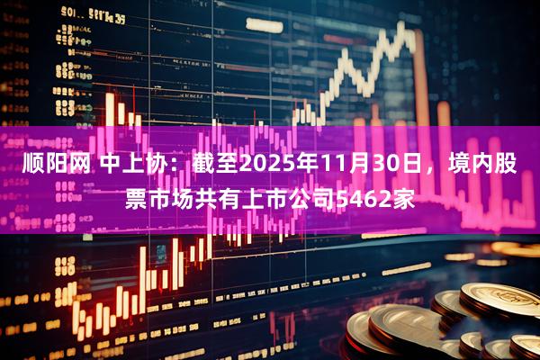 顺阳网 中上协：截至2025年11月30日，境内股票市场共有上市公司5462家
