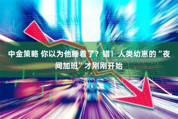 中金策略 你以为他睡着了？错！人类幼崽的“夜间加班”才刚刚开始